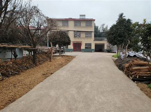 岳陽市云溪區郭家咀自建房180萬出售!