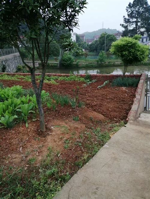 岳陽市云溪區郭家咀自建房180萬出售!